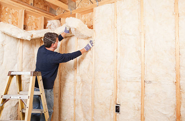 Professional Insulation Services in Ridgefield, WA